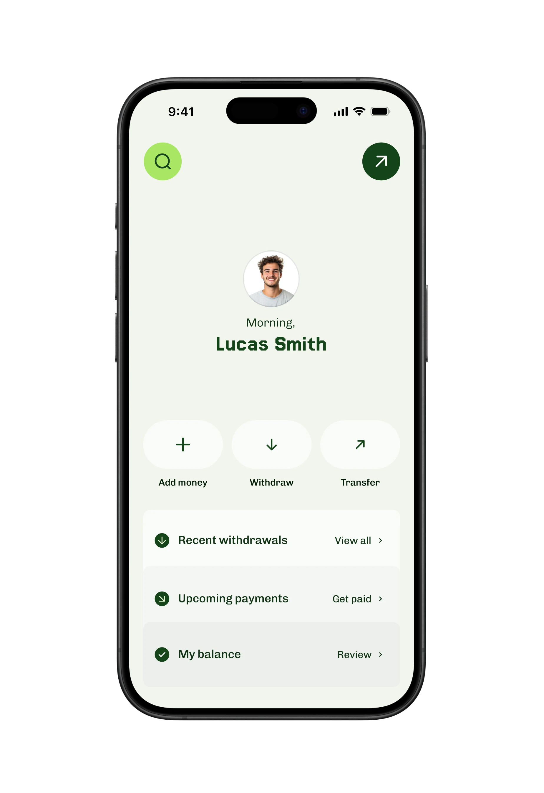 Pock wallet home screen